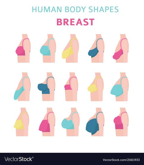 banana boobies|The 12 Different Breast Shapes and Types